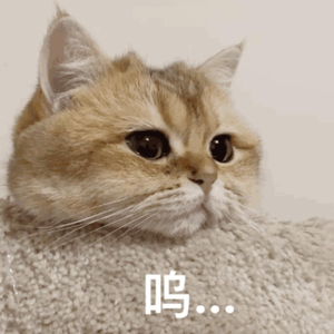 大学生自慰喷水免费观看
